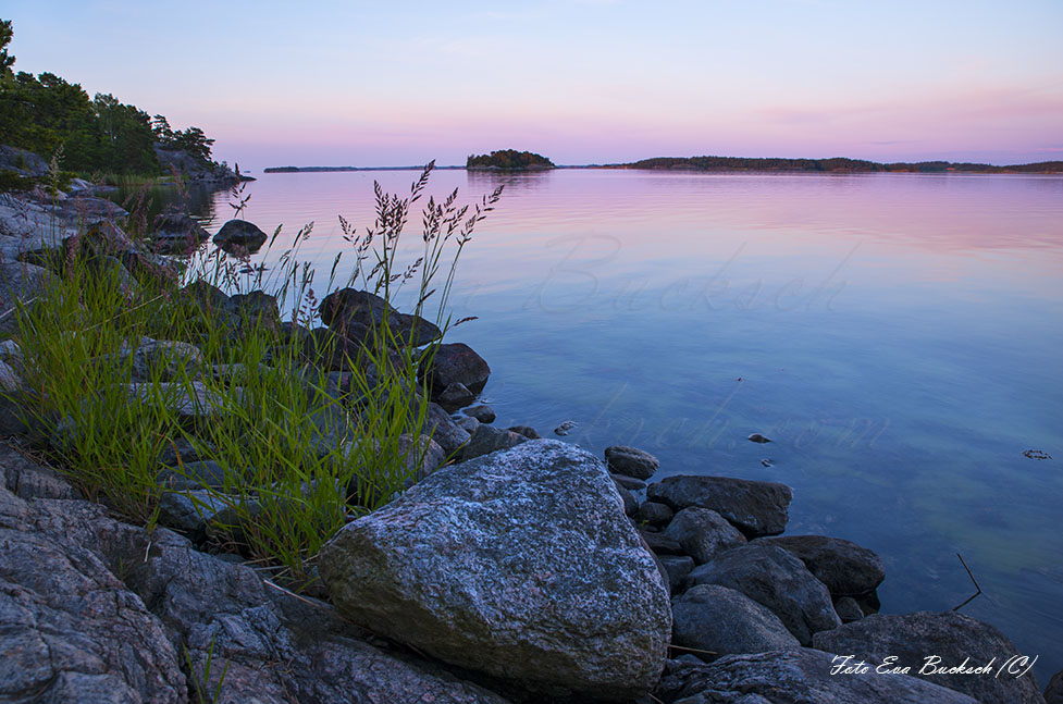 Foto av Eva Bucksch